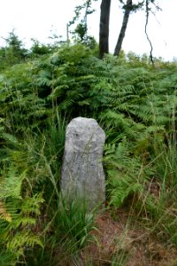 Grenzstein - Grevenhagen - Nr. 12 - Preußische Seite