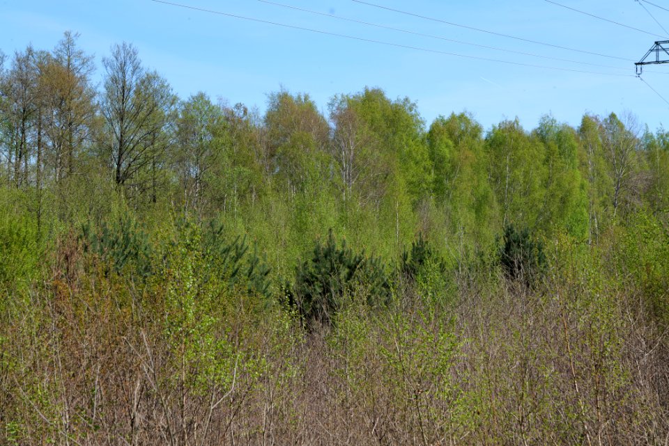 Großer und Kleiner Möggelinsee 2021-05-09 14