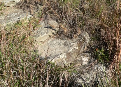 Gregory Buttes steps (Gregory SD) detail 2