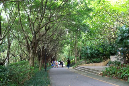 Greenway of Shenzhen International Garden and Flower Expo Park2