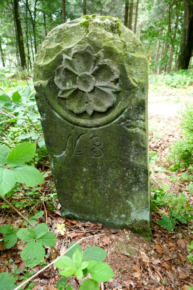 Grenzstein - Grevenhagen - Nr. 8 - Lippische Seite