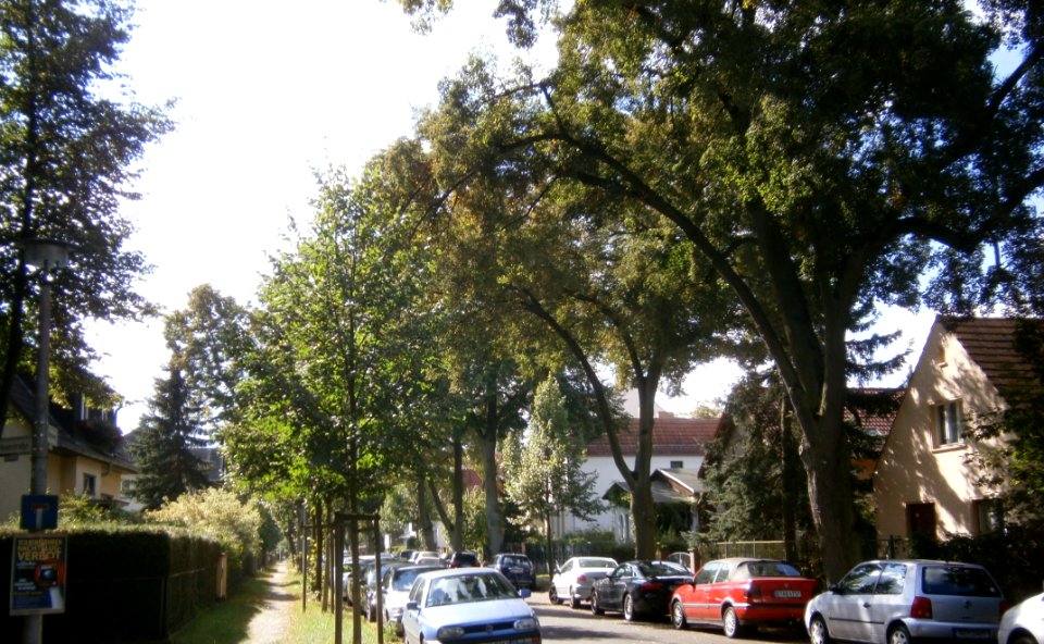 Grenzbergeweg-Rahnsdorf-