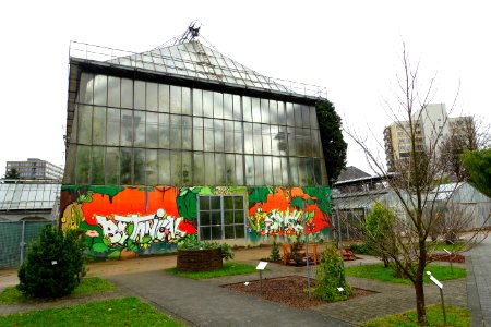 Greenhouses - Botanischer Garten - Heidelberg, Germany - DSC00833 photo