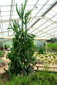Greenhouse Plant Building interior - Chengdu Botanical Garden - Chengdu, China - DSC03552