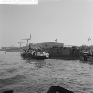 Grootste parlevinker van West-Europa, de heer Arnitz uit Millingen bij Lobith, h, Bestanddeelnr 914-4362