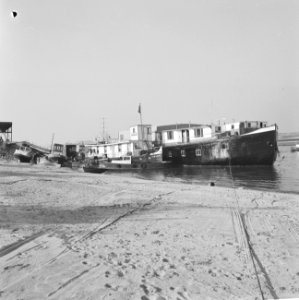 Grootste parlevinker van West-Europa, de heer Arnitz uit Millingen bij Lobith, h, Bestanddeelnr 914-4358