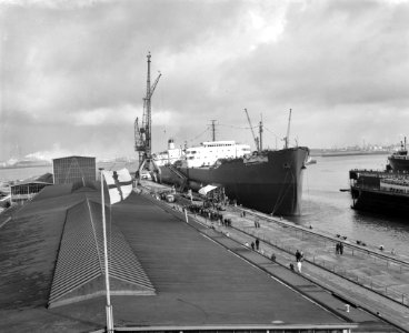 Grootste Nederlandse schip Esso Hampshire gedoopt, Bestanddeelnr 913-6419