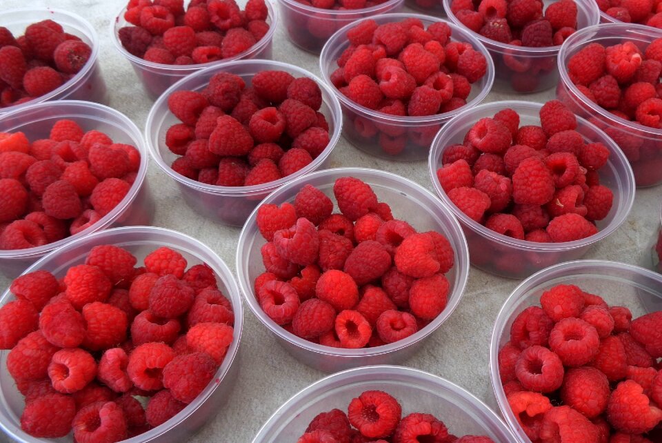 Food healthy dessert