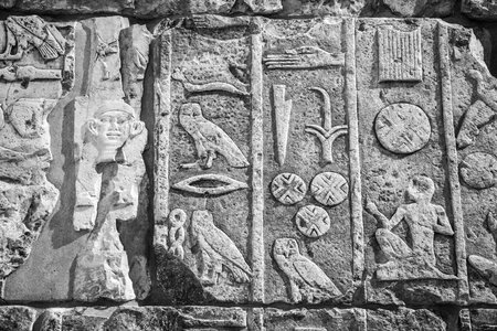 Black and white sculpture texture