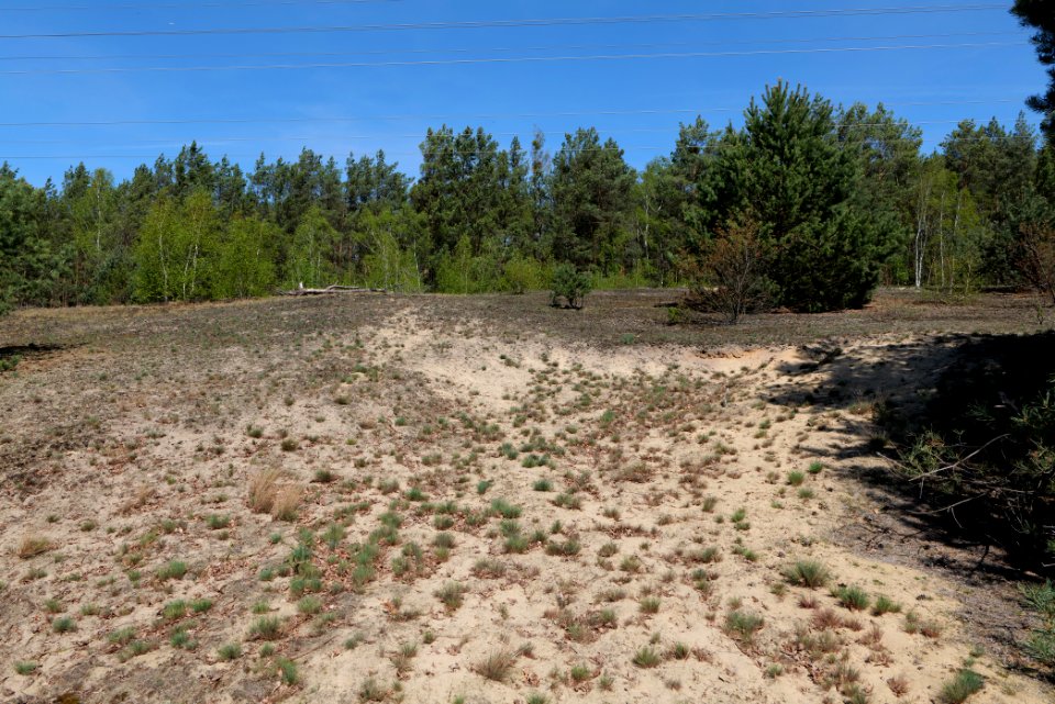 Großer und Kleiner Möggelinsee 2021-05-09 12