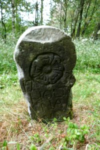 Grenzstein - Grevenhagen - Nr. 11 - Lippische Seite