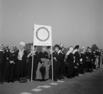 Groepjes Zwollerkerspel, Bestanddeelnr 903-7007