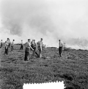 Grote heidebrand op de Veluwe (Oldebroek), Bestanddeelnr 907-3045