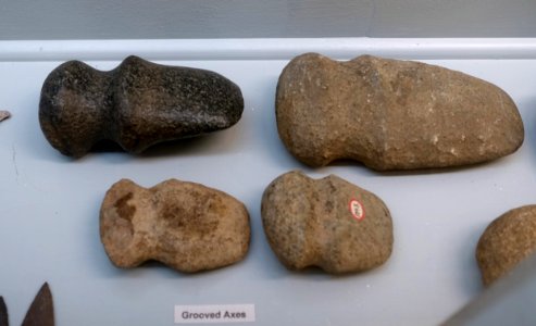 Grooved axes - Late Archaic collection - Robbins Museum - Middleborough, Massachusetts - DSC03810