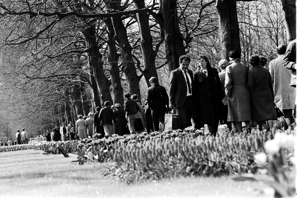 Grote drukte met Pasen in de keukenhof in Lisse, Bestanddeelnr 931-4397