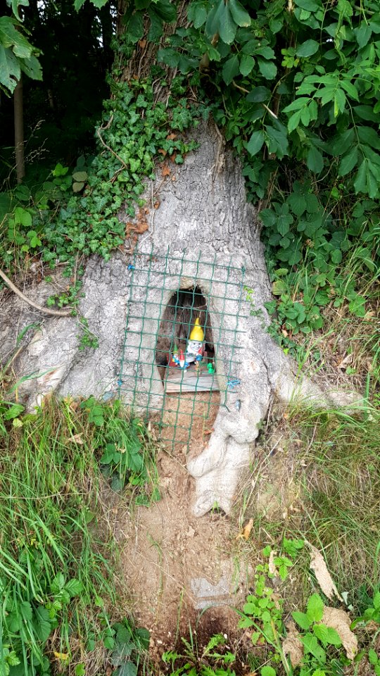 Groot Welsden-kabouters in de boom (2)