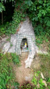 Groot Welsden-kabouters in de boom (2)