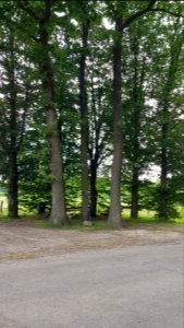 Groot Welsden-Vijfsprong (2)