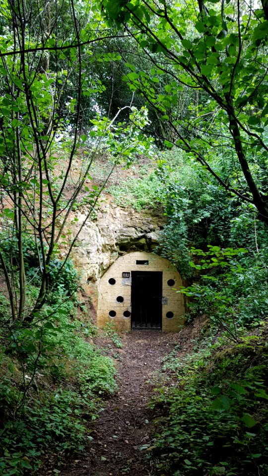 Groot Welsden-Groeve het Houbenbergske I (1)