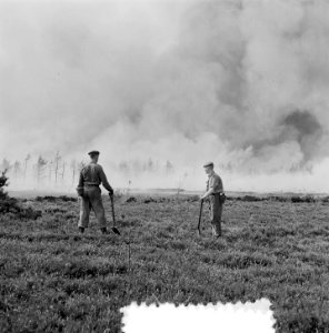 Grote heidebrand op de Veluwe (Oldebroek), Bestanddeelnr 907-3043