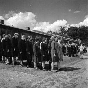 Groepen vrouwen staan aangetreden op een appelplaats, Bestanddeelnr 900-4806