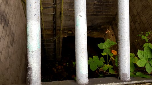 Groot Welsden-Groeve het Houbenbergske I (8)