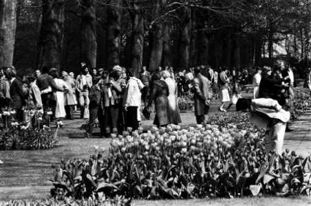 Grote drukte met Pasen in de keukenhof in Lisse 20 april 1981, Bestanddeelnr 931-4397