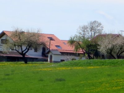 Großaschau 1 Frauenneuharting 5
