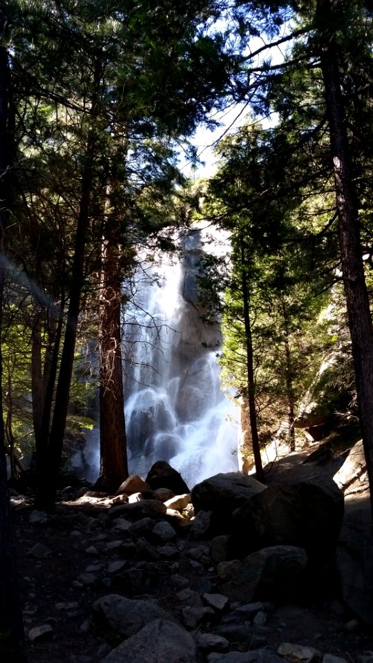 Grizzly falls