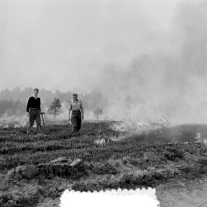 Grote heidebrand op de Veluwe (Oldebroek), Bestanddeelnr 907-3046