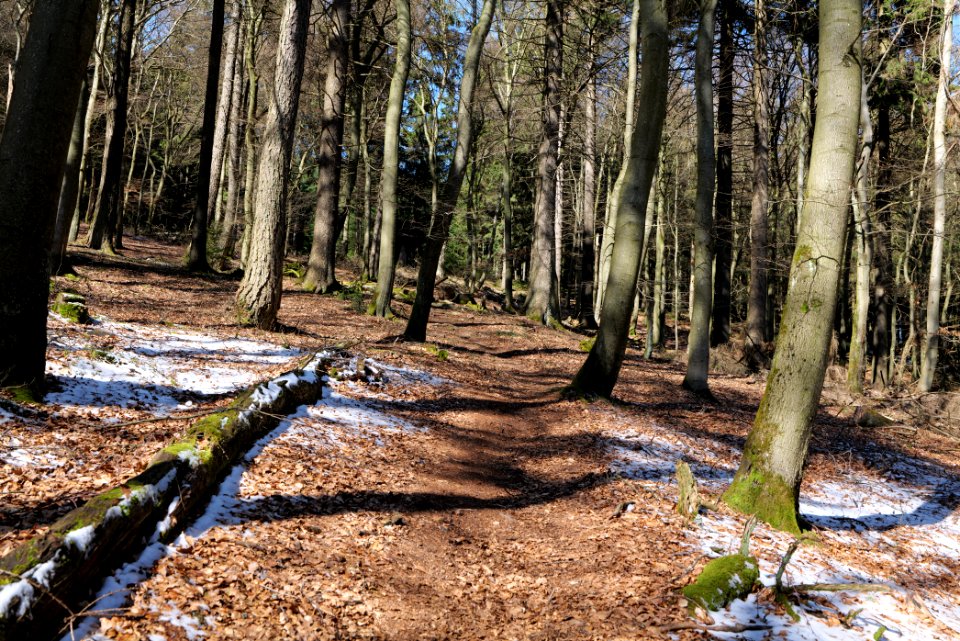 Großer Feldberg 2020-03-23 31