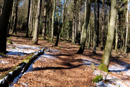 Großer Feldberg 2020-03-23 31