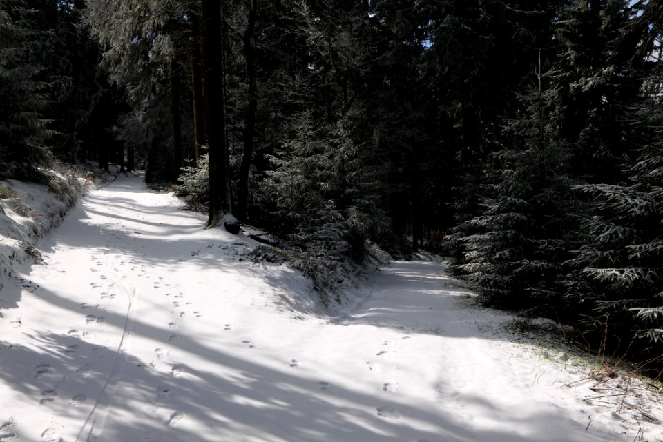 Großer Feldberg with snow 2021-04-06 02