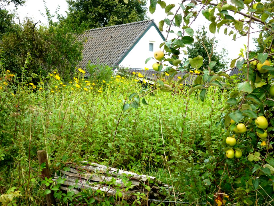 Groesbeek (NL) De Horst, Lage Horst 3 rechts voor