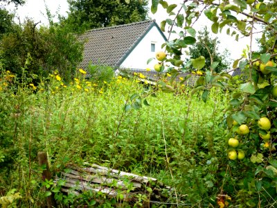 Groesbeek (NL) De Horst, Lage Horst 3 rechts voor