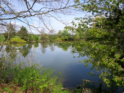 Großaschau Weiher
