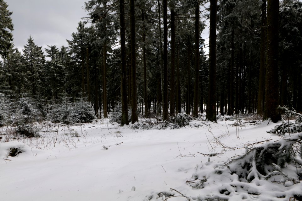 Großer Feldberg with snow 2021-04-06 27