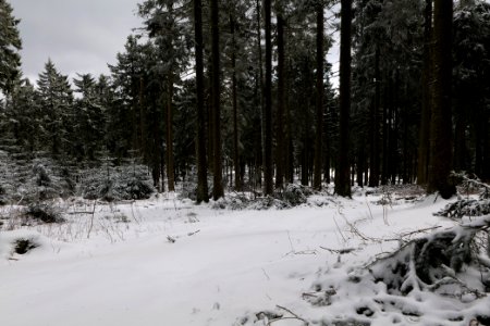 Großer Feldberg with snow 2021-04-06 27