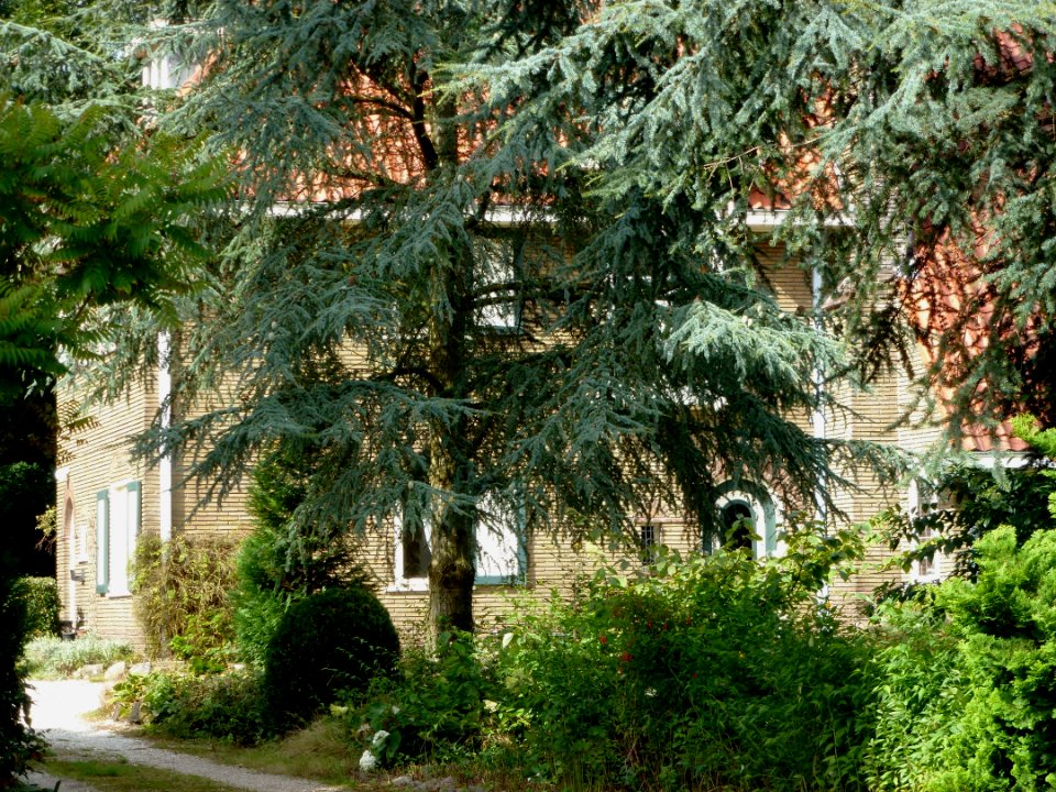 Groesbeek (NL) Houtlaan 30 villa