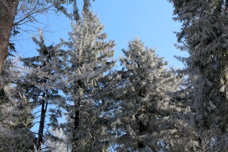 Großer Feldberg with snow 2021-04-06 13
