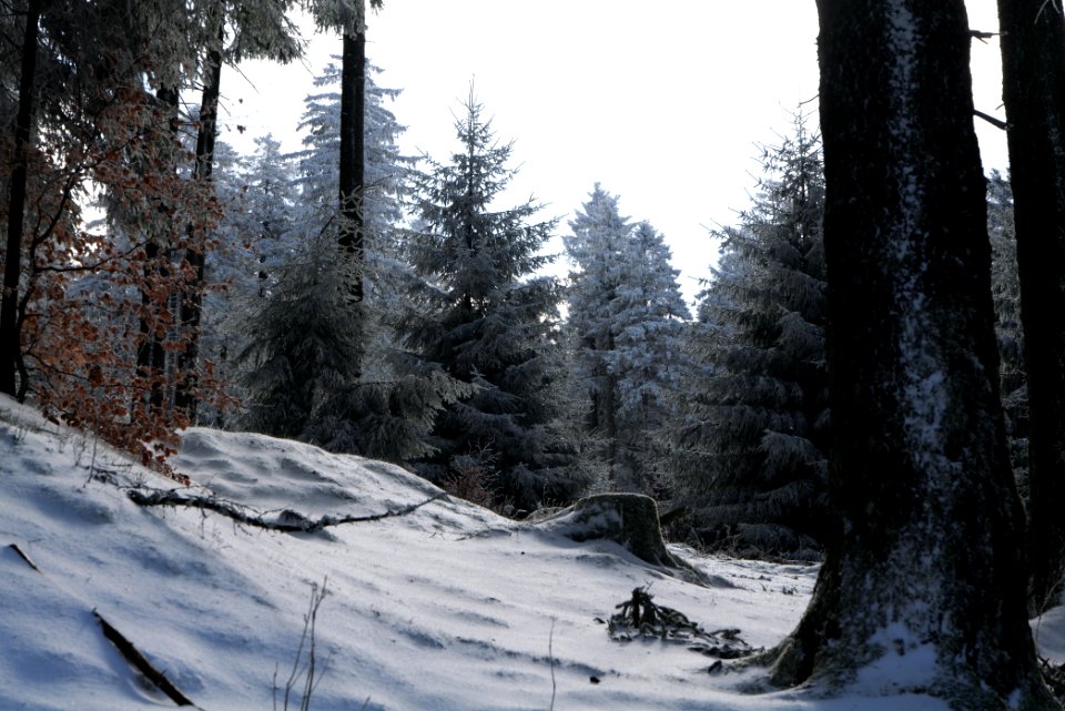 Großer Feldberg with snow 2021-04-06 05