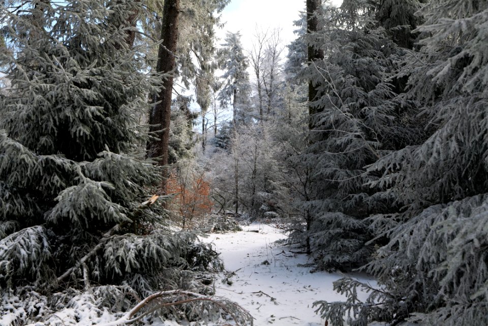 Großer Feldberg with snow 2021-04-06 17