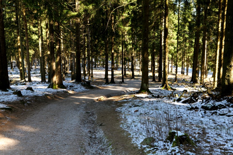 Großer Feldberg 2020-03-23 47