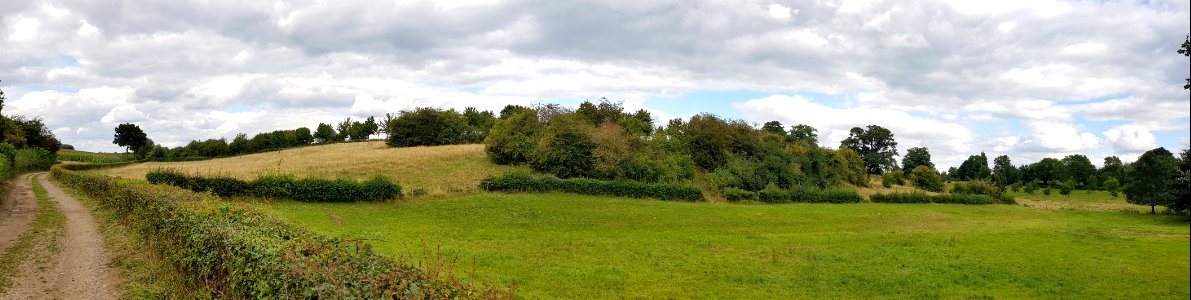 Groot Welsden-Groeve het Houbenbergske II (1)