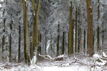 Großer Feldberg with snow 2021-04-06 19