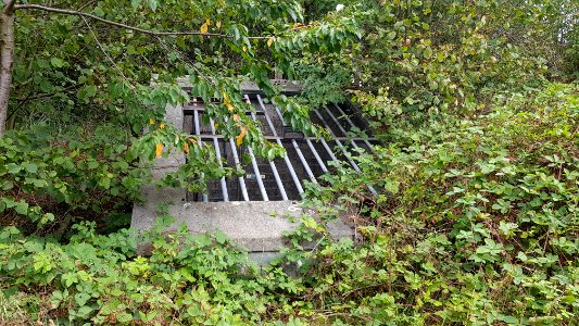 Groot Welsden-Groeve het Houbenbergske I (6)