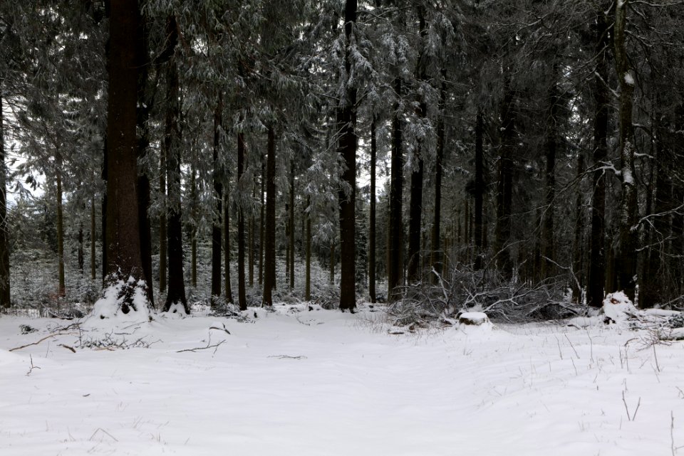 Großer Feldberg with snow 2021-04-06 22