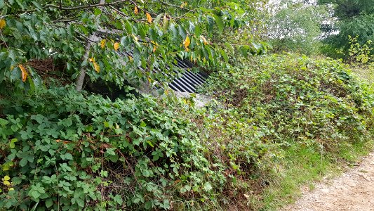 Groot Welsden-Groeve het Houbenbergske I (7)