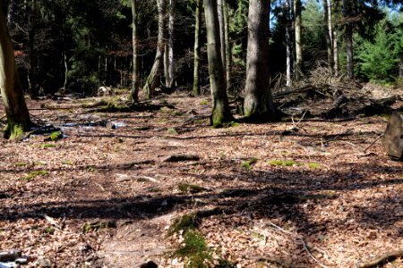Großer Feldberg 2020-03-23 34