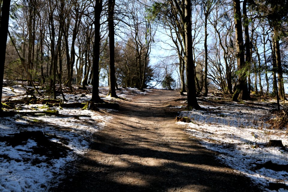 Großer Feldberg 2020-03-23 48